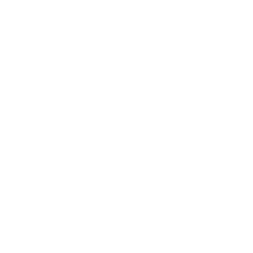 Moto Metal